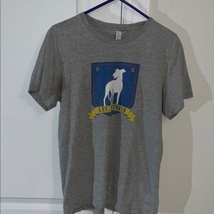 Gray Ted Lasso AFC Richmond England Crest Soccer Team Worn t shirt M Mens